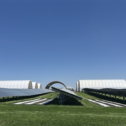 a photo of solar panels with grass and plants underneath with six white hoop houses in the background.