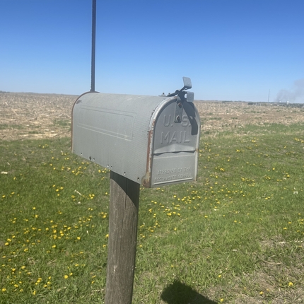 A beat-up gray mailbox on a weathered post. The mailbox says "U.S. Mail" on the front. In the background is a ditch with short green grass and a lot of dandelions and a harvested field with a clear blue sky.
