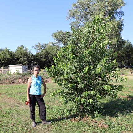 Patricia Pinto stands next to small tree on her farm