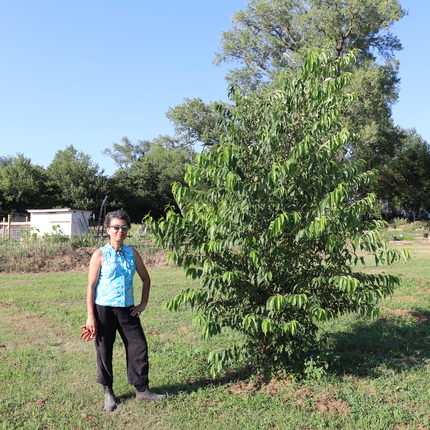 Patricia Pinto junto a un pequeño árbol en su finca