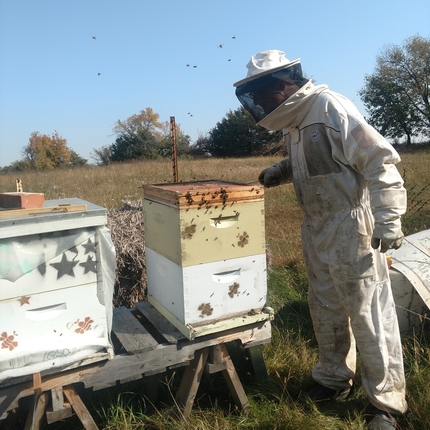beekeeper in full suit with bees