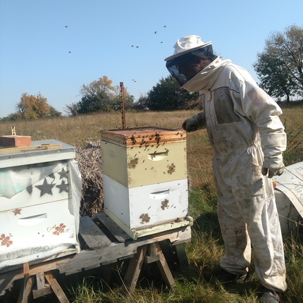 apicultor en traje completo con abejas