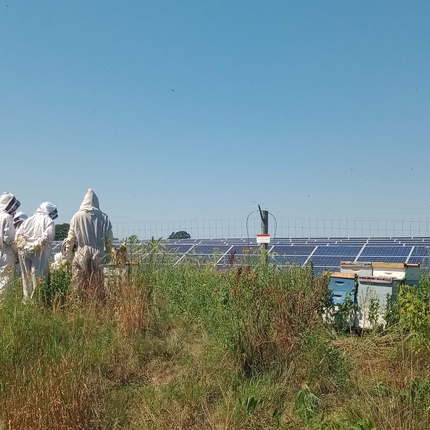 Attendees in a field with solar panel.
