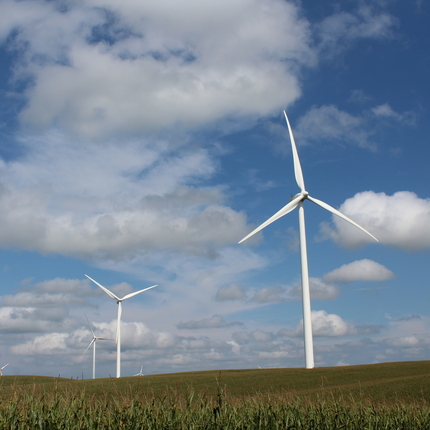 Wind turbines in a farm field surrounded by crops.