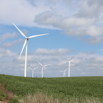 Five wind turbines standing in a green soybean field with a blue sky and gray-ish fluffy clouds