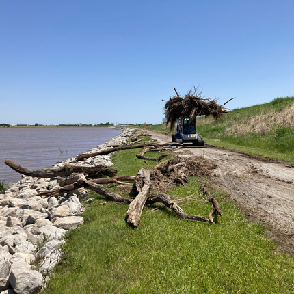 A skid steer carries wood and other natural debris atop its roof as it drives down a sandy path along the edge of a brown lake. The lake is lined with white rocks. 