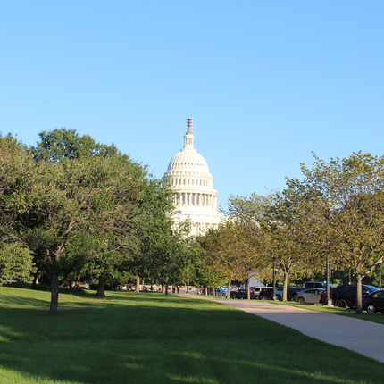 The U.S. Capitol building - you can see the top 1/3 of it, in the foreground is a wide sidewalk, a row of cars, and green/yellow trees lining the sidewalk