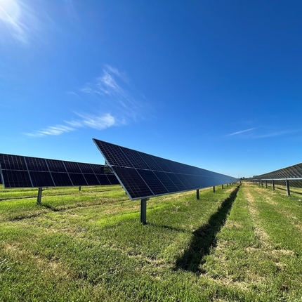 solar panels in grass