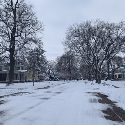 Un camino y árboles cubiertos de nieve con casas a ambos lados de la calle.
