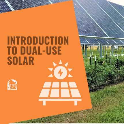 Graphic that says "Introduction to Dual-Use Solar" in dark type on an orange background, with the Center for Rural Affairs logo in the lower left hand corner and a sun + solar panel graphic in the center. On the right is a photo of solar panels over vegetation tied to fence posts.