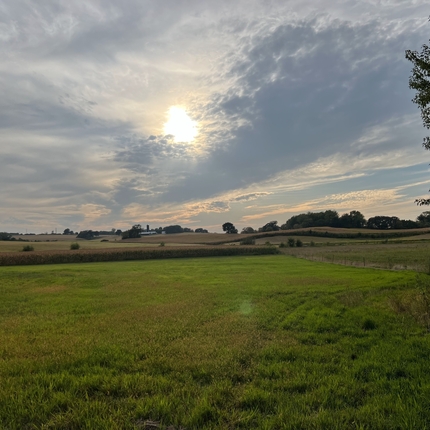 green grass with clouds in the sky with the sun peeking through.