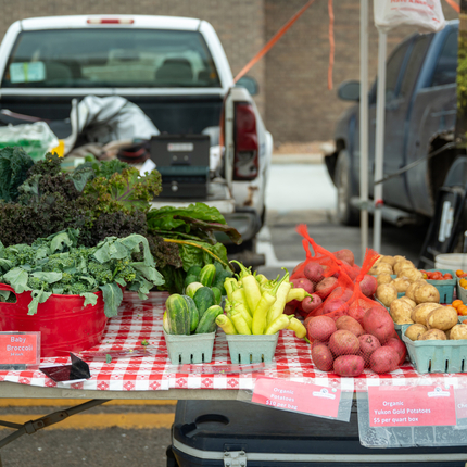 A table at a farmers market is covered with a red & white checkered tablecloth and containers full of fresh vegetables: kale, cucumbers, peppers, potatoes, tomatoes, etc.