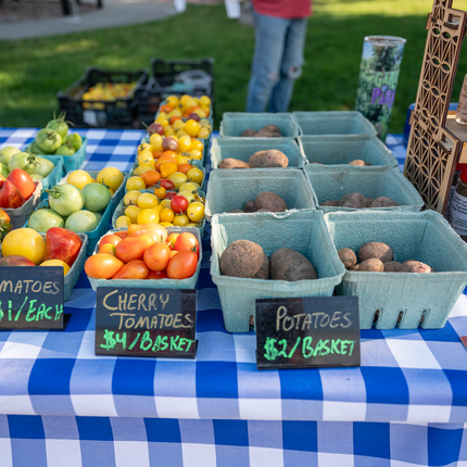 Vegetables are layed out in little blue carton boxes on a table with blue and white checkered table cloth. Green grass is in the background.