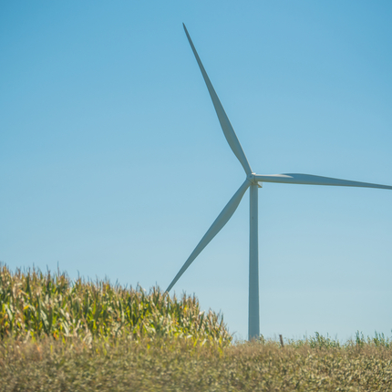 Turbina eólica con campo de maíz delante