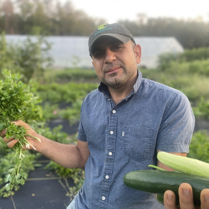 Un hombre en un huerto que crece bien, con plantas grandes y verdes, sostiene cilantro en una mano y calabacines en la otra. El hombre tiene la piel morena clara, lleva una gorra de béisbol gris y una camisa azul de manga corta abotonada.