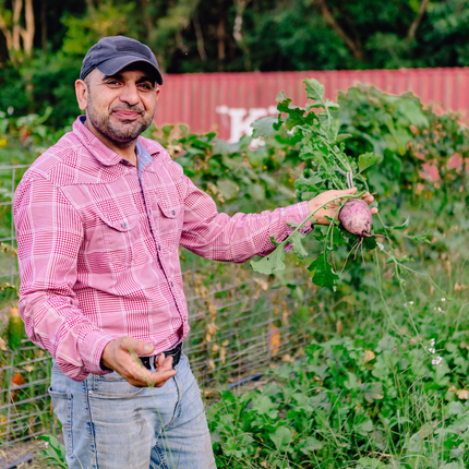 Un hombre sostiene un nabo sueco en un huerto que crece bien, con plantas grandes y verdes. El hombre tiene la piel morena clara, lleva una gorra azul, una camisa de manga larga a cuadros rosa y pantalones vaqueros. 