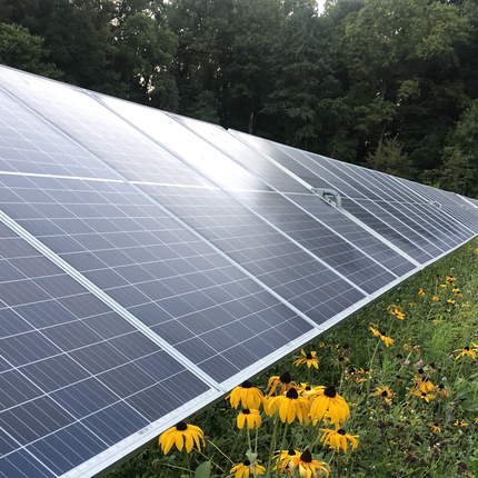 Solar panels with native vegetation.