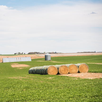 Farm landscape with bales of hay, buildings