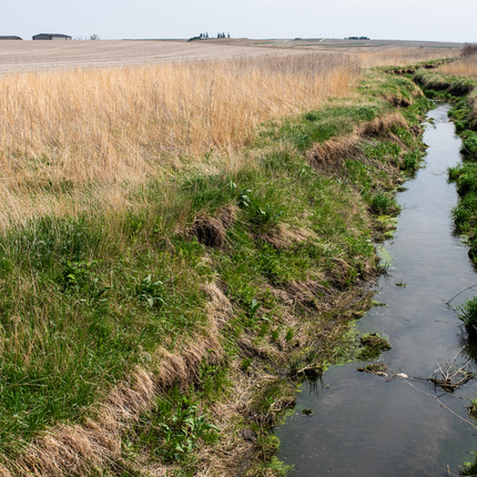 Creek and surrounding landscape.