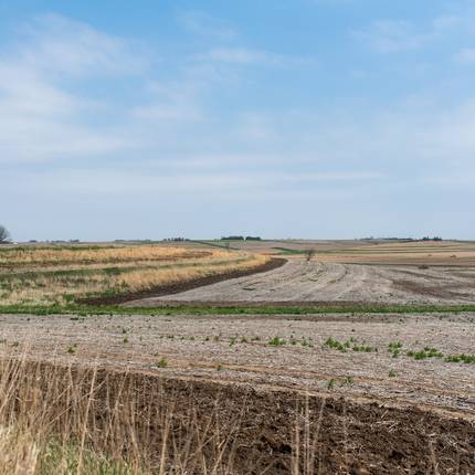 farm field - conservation 