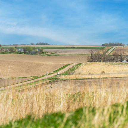 campo rural