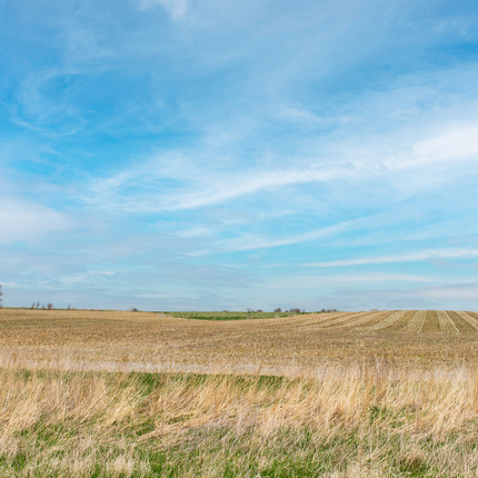 campo agrícola bajo un cielo azul