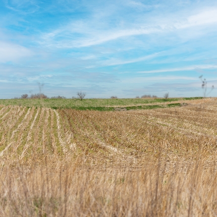 campo de cultivo - conservación 