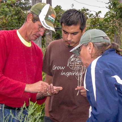 Three individuals looking at seeds in the person to the left's hand.