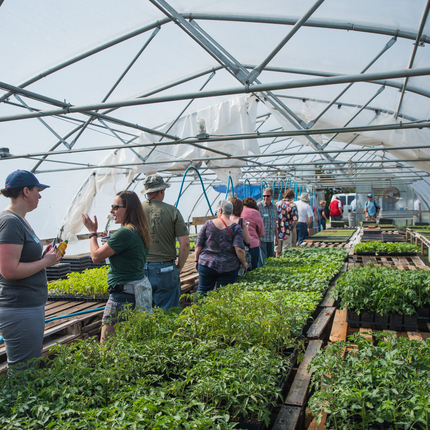 Group taking tour in hoop house