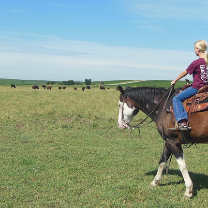 Girl on horse