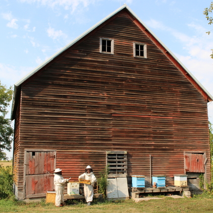 beekeepers in full suits with barn behind them