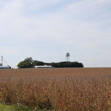 Bean field and farm