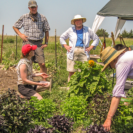 Agricultores principiantes en el campo de hortalizas