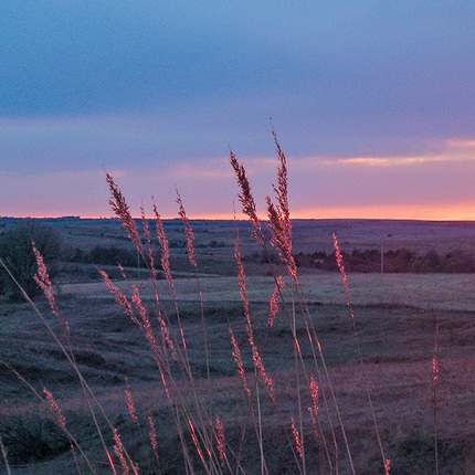 Sunset over field