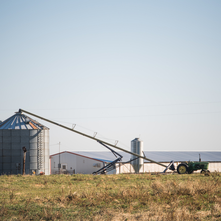 farm scene