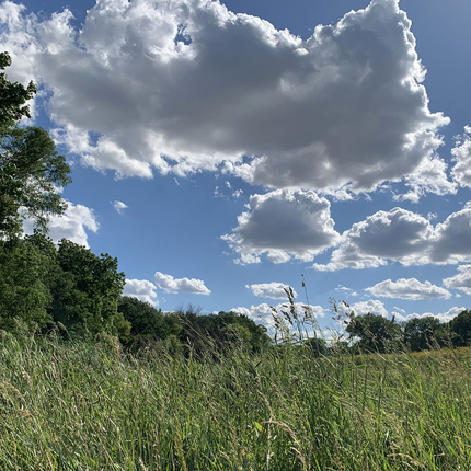 nubes y un campo