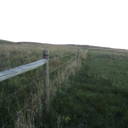 cross fencing