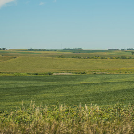 farm field - conservation 