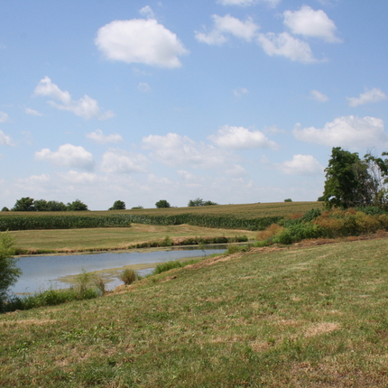Man by pond