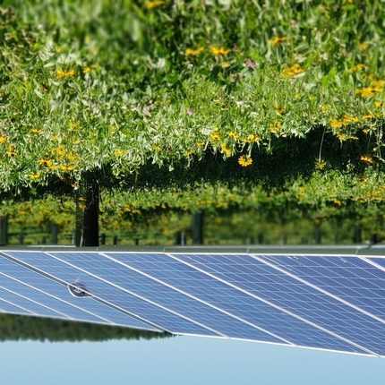 Solar panels