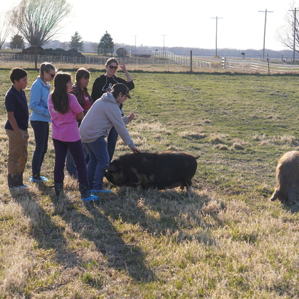 Grupo de personas de pie en un pasto, un individuo acariciando un cerdo