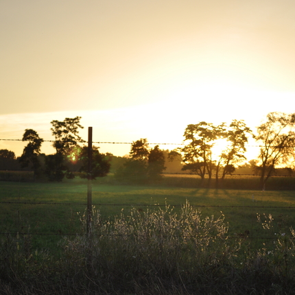 Sunset over field
