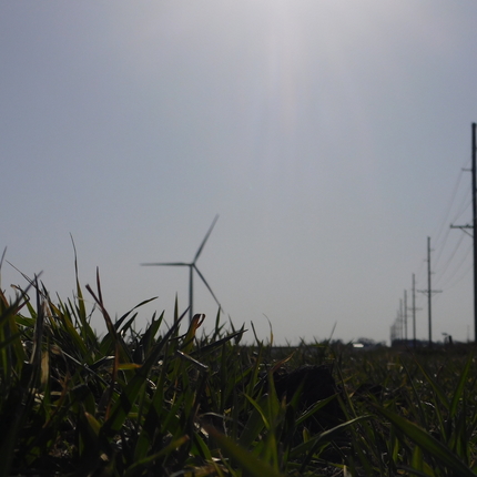 Wind turbine and transmission line
