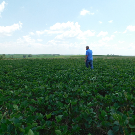 Granjero, en, campo