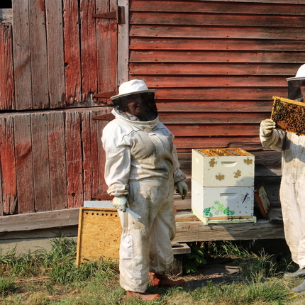 two people in bee suits