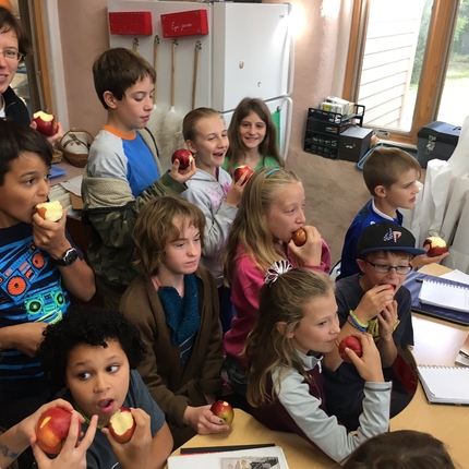 Students eating apples