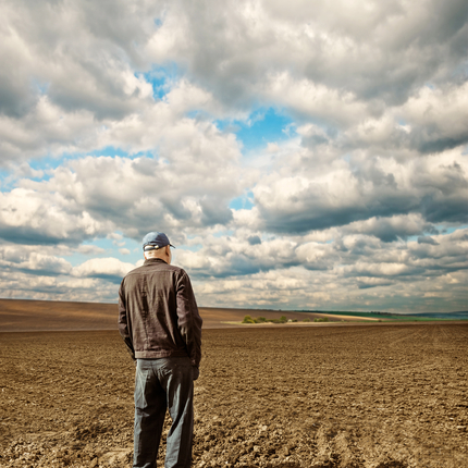 Man looking over field