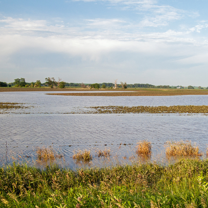 A brown field with water almost covering the entire field. In the foreground is a barbed wire fence.