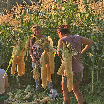 Workshop with three women foraging