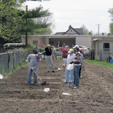 Several individuals gardening, using a hoe to make room for seeds